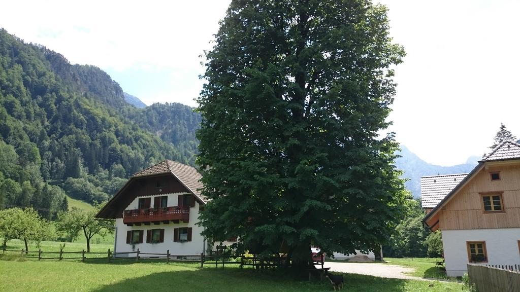 Farm Stay Juvanija Solčava Exterior foto